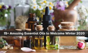 15+ Amazing Essential Oils to Welcome Winter 2020 with Full Preparation!!
