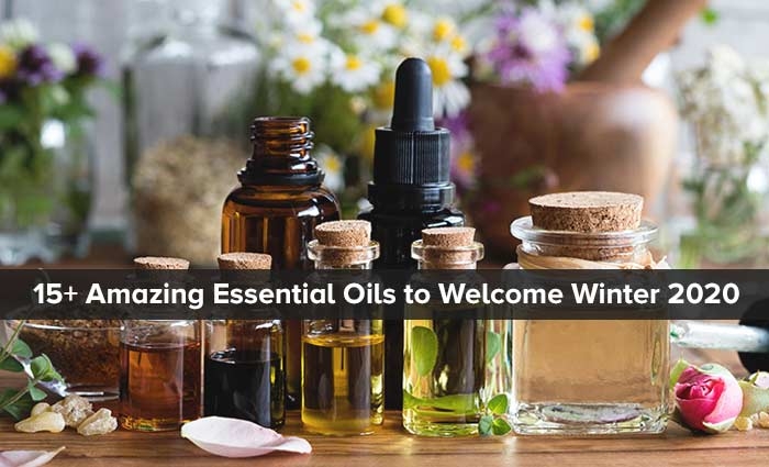 15+ Amazing Essential Oils to Welcome Winter 2020 with Full Preparation!!