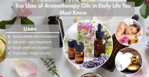 An Assortment of Aromatherapy Products and Natural Ingredients For Overall Wellness Benefits