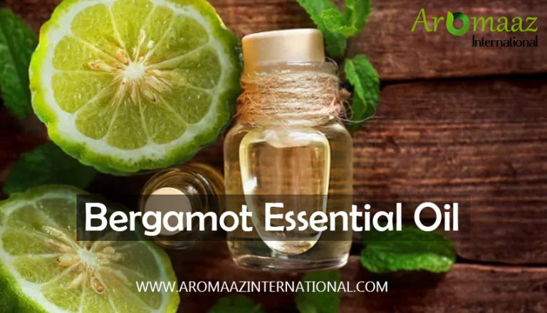 Bergamot Essential Oil - A Comprehensive Guide