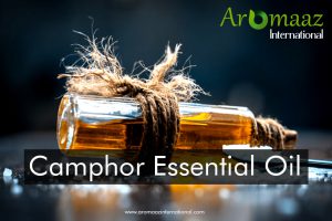 Camphor Essential Oil - A Versatile Natural Remedy with Aromatic Benefits