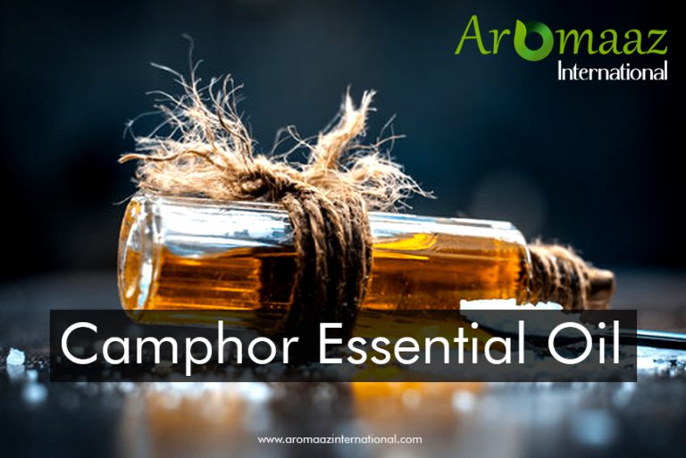 Camphor Essential Oil - A Versatile Natural Remedy with Aromatic Benefits