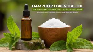Camphor-Essential-Oil