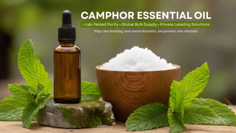 Camphor-Essential-Oil