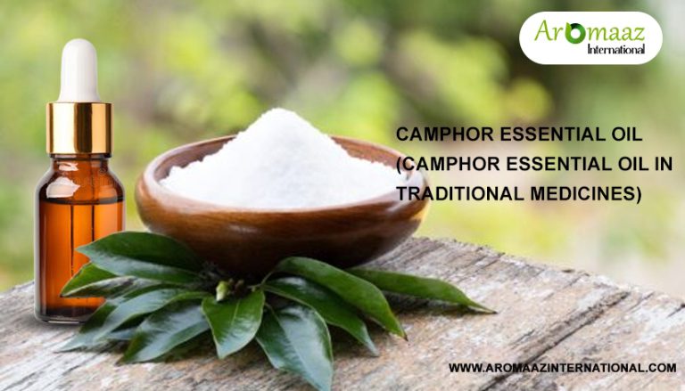 Camphor Essential Oil in Traditional Medicines