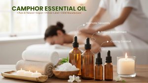 Camphor-Essential-oil