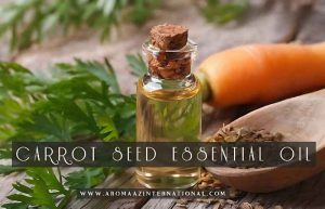 Carrot Seed Essential Oil
