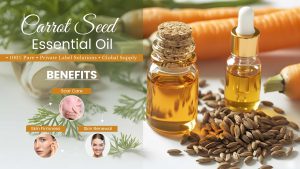Carrot-Seed-Essential-Oil