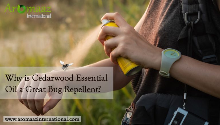 Cedarwood Essential Oil For Bug Repellent
