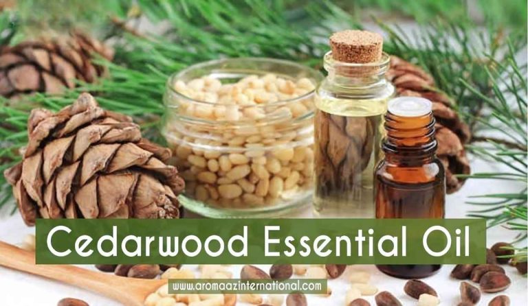 Cedarwood Essential Oil – Know The Healing Properties