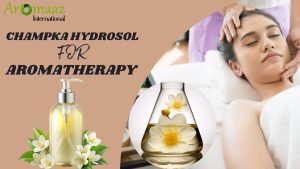 Champka Hydrosol: The All-Natural Solution for Hydration and Aromatherapy