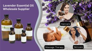 Lavender Essential Oil Wholesale Suppliers