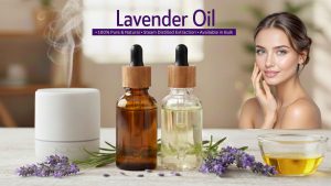 Lavender-Oil-manufacturer-supplier
