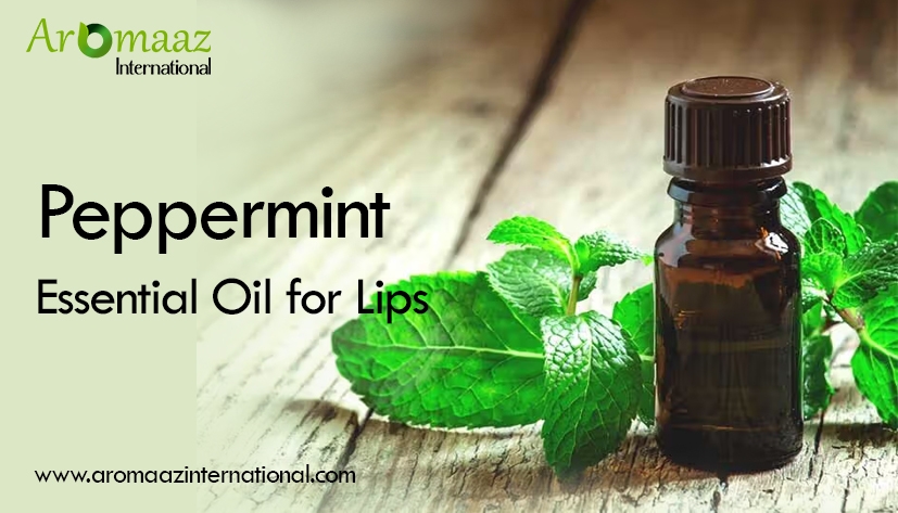 Peppermint essential oil for lips