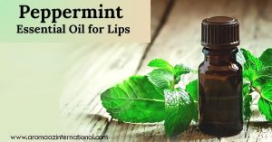 Revitalize Your Lips with the Cooling Benefits of Peppermint Oil