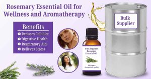 Rosemary Essential Oil for Aromatherapy and Wellness