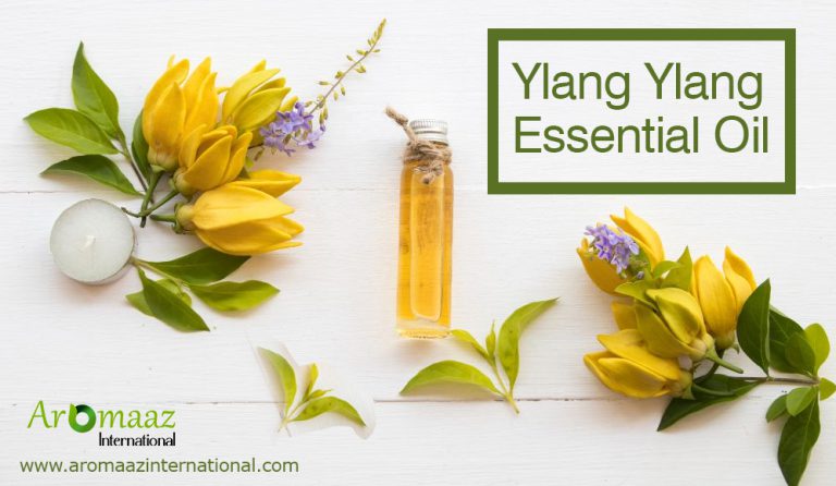Unlock Ylang Ylang Essential Oil Spiritual Benefits