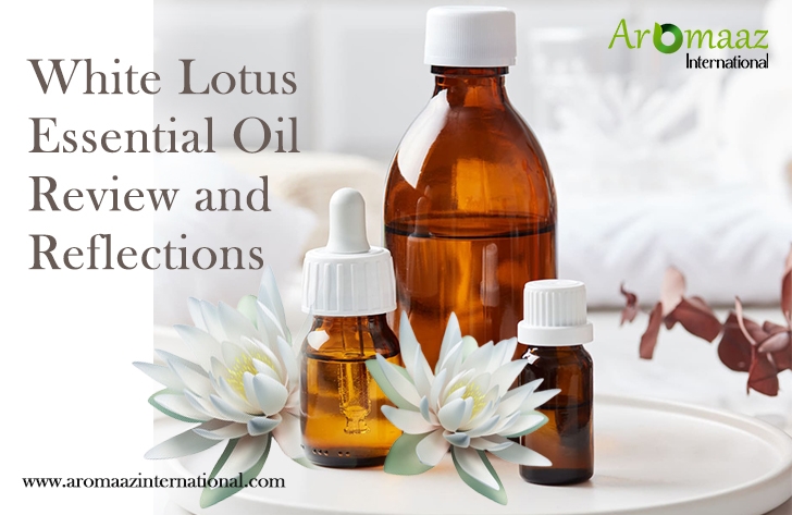 White Lotus Essential Oil Review and Reflections