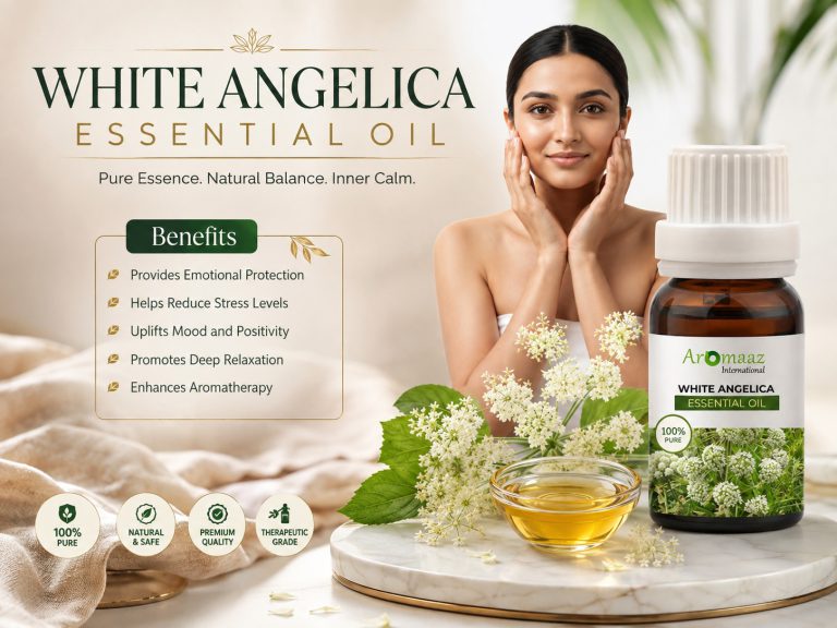 White_Angelica_essential_oil