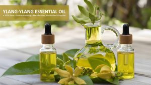 Ylang-Ylang-Essential-Oil supplier
