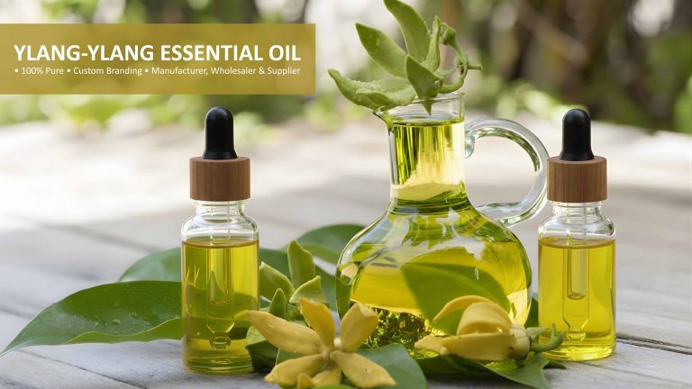 Ylang-Ylang-Essential-Oil supplier