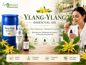 Ylang-Ylang Essential Oil Manufacturer