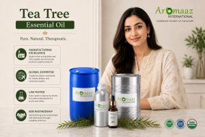 Tea_tree_essential_oils