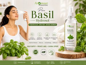 Basil-hydrools-benefits