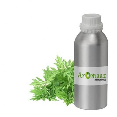 Armoise Essential Oil