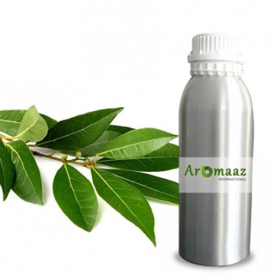 Camphor Certified Organic Oil