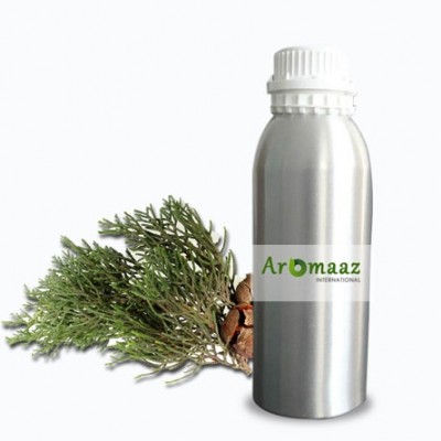 Certified Organic Cypress Essential Oil