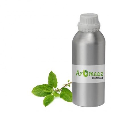 Certified Organic Holy Basil Essential Oil