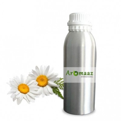 Chamomile German 3% Dilution in Jojoba Oil