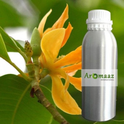 Champa (Magnolia) Hydrosol