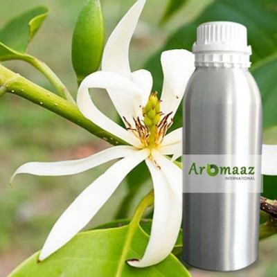 Champka Hydrosol