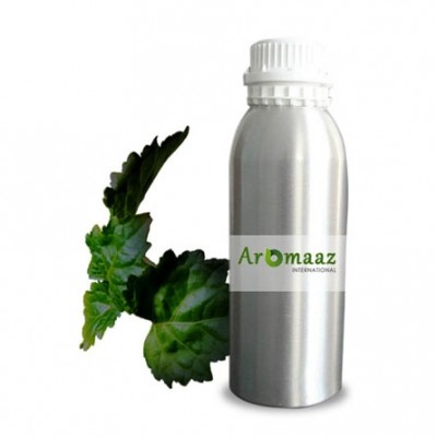 Chypre Essential Oil