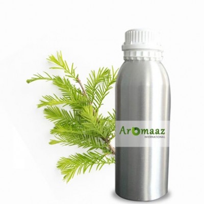 Cypress Essential Oil