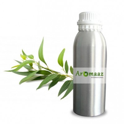 Eucalyptus Globulus Essential Oil 40%