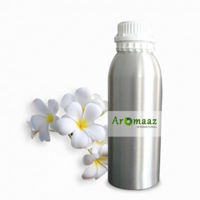 Frangipani Floral Absolute Oil