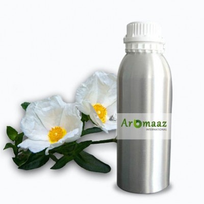 Labdanum Essential Oil 