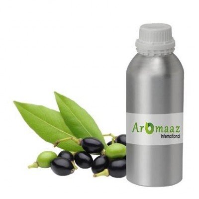 Laurel Berry Essential Oil 