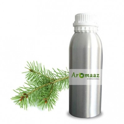 Pine Needle Essential Oil