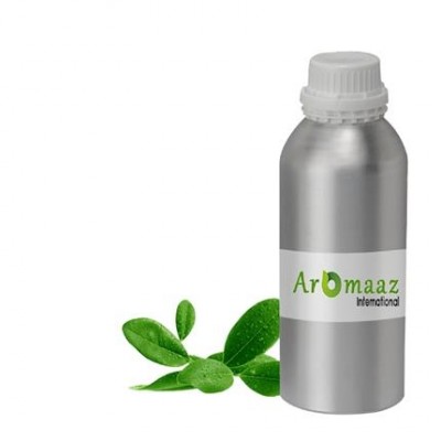 Ravensara Essential Oil