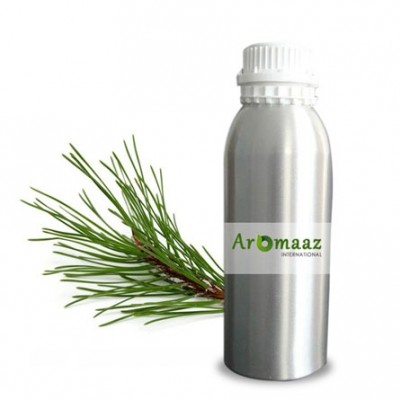 Scotch Pine Essential Oil