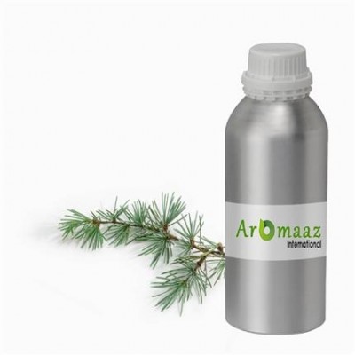 Spruce Black Wild Essential Oil