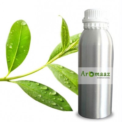 Tea Tree Hydrosol