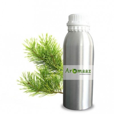 Texas Cedar Wood Essential Oil