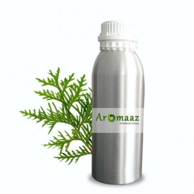 Thuja Essential Oil