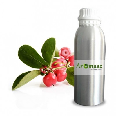 Wintergreen Certified Organic Oil