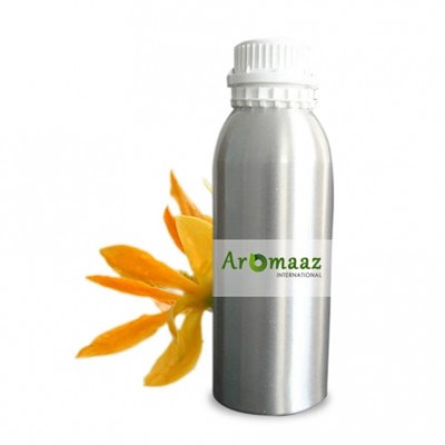 Yellow Champaca Floral Absolute Oil